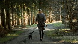Balade et éducation canine_Saint-Gervais-les-Bains - Martin Dalsgaard