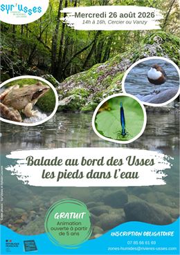 Affiche Cercier - Syr'Usses