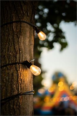 Guirlandes lumineuses autour d'un arbre avec le fond flou. - Pexels