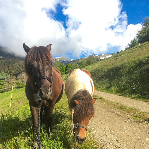 La chasse aux tésors à poneyx_Bozel