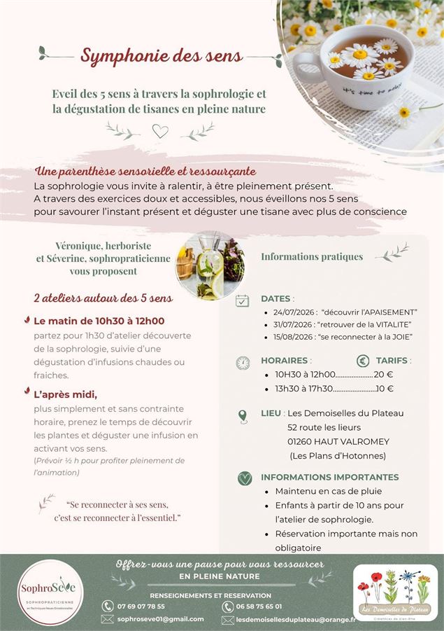 Sophologie et tisane en pleine nature_Haut Valromey - Les Demoiselles du Plateau