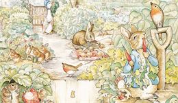 Le monde de Pierre Lapin - Pierre Lapin