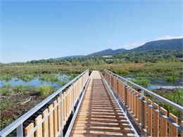 Marais de Vaux - Jérôme Pruniaux agence ARGO Haut-Bugey Tourisme