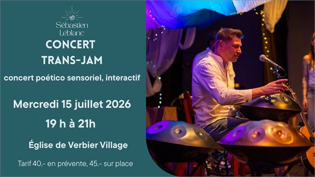 Concert handpan - Sebastien Leblanc