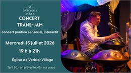 Concert handpan - Sebastien Leblanc