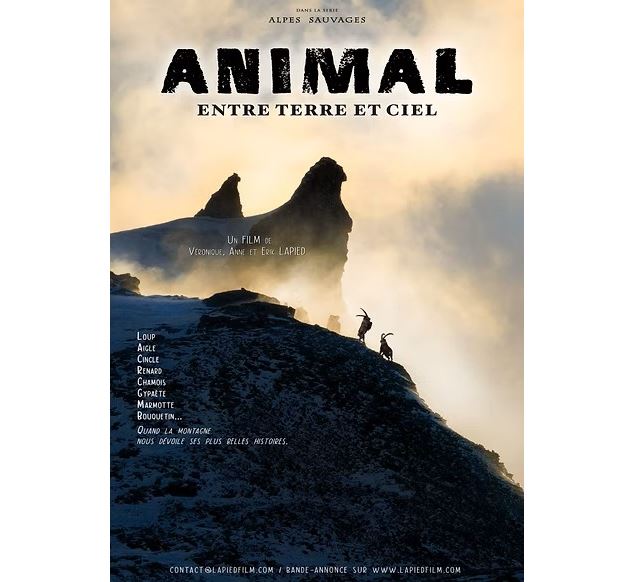 PROJECTION : Animal - Entre terre et ciel_Val-Cenis