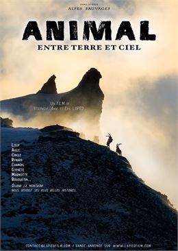 PROJECTION : Animal - Entre terre et ciel_Val-Cenis