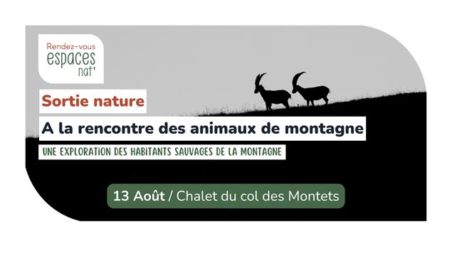 Sortie nature - A la rencontre des animaux de montagne_Vallorcine