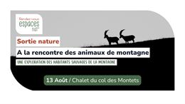 Sortie nature - A la rencontre des animaux de montagne_Vallorcine