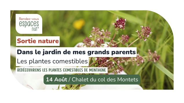Sortie nature - Dans le jardin de mes grands parents les plantes comestibles_Vallorcine