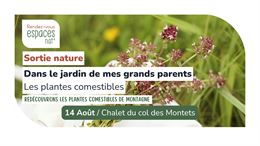 Sortie nature - Dans le jardin de mes grands parents les plantes comestibles_Vallorcine