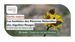 Sortie nature - Les bestioles des réserves naturelles des Aiguilles rouges_Vallorcine