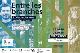 Exposition "Entre les branches"_Thônes - Parc Naturel des Bauges