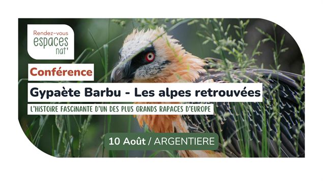 Conférence - Gypaète Barbu, les Alpes retrouvées_Argentière