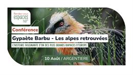 Conférence - Gypaète Barbu, les Alpes retrouvées_Argentière