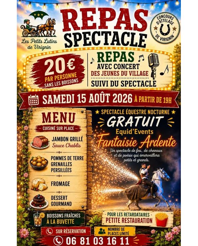 Concours d'attelage régional et spectacle équestre nocturne_Virignin - Les Petits Lutins de Virignin