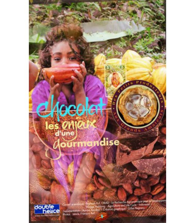 Chocolat, les enjeux d'une gourmandise - La Turbine sciences