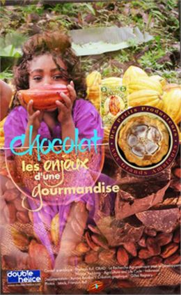 Chocolat, les enjeux d'une gourmandise - La Turbine sciences