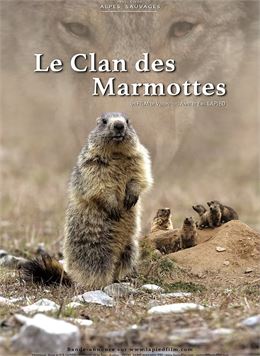 PROJECTION : Le clan des marmottes_Val-Cenis