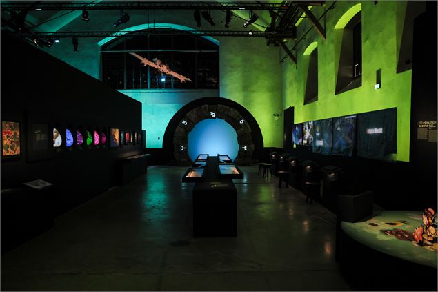 Exposition Ankama  - ©CITE ANIMATION_A-TRICHET-LAURIER