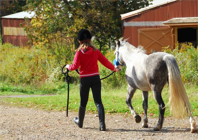 Balades poneys en main_Saint-Colomban-des-Villards - Elena Photo