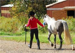 Balades poneys en main_Saint-Colomban-des-Villards - Elena Photo