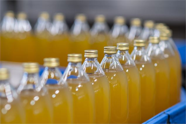 Visite de l'entreprise Thomas Le Prince_Vallières-sur-Fier - ©Gilles Lansard
