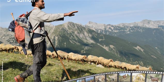 Ciné débat - Les chiens de protection de troupeau_Sixt-Fer-à-Cheval