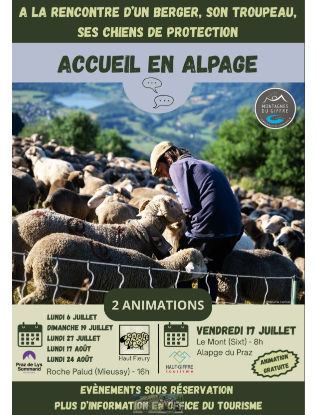 Accueil en alpage - A la rencontre d'un troupeau et de ses patous_Sixt-Fer-à-Cheval