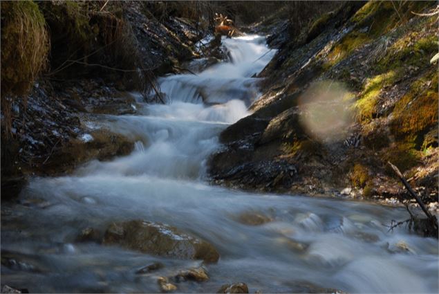 L'eau dans le Val montjoie - Michèle Mautué