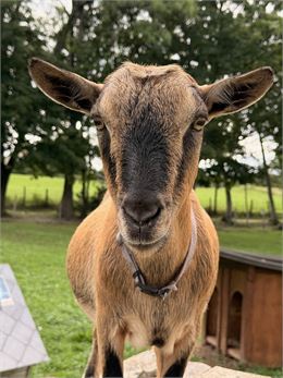 Nocturne à la ferme de Bozzi  - Le domaine de Silans