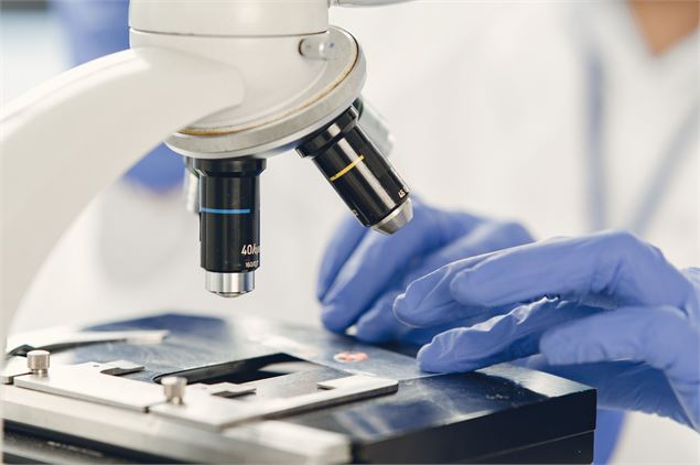 Microscope - Canva