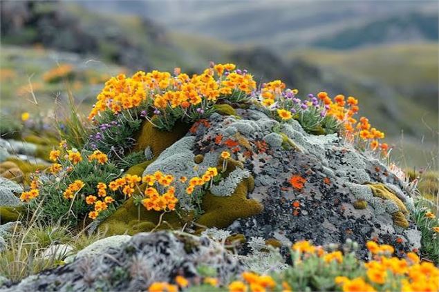 Chasse aux couleurs