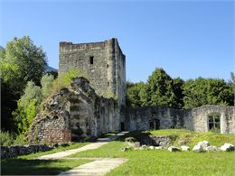 Les pierres-fortes de notre Histoire : visite scolaires_Chambéry