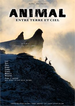 Film Animal entre Terre et Ciel - lapiedfilm