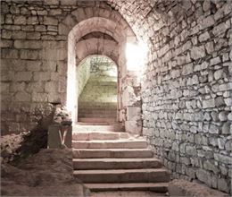 salles basses du château des ducs de Savoie - Département de la Savoie