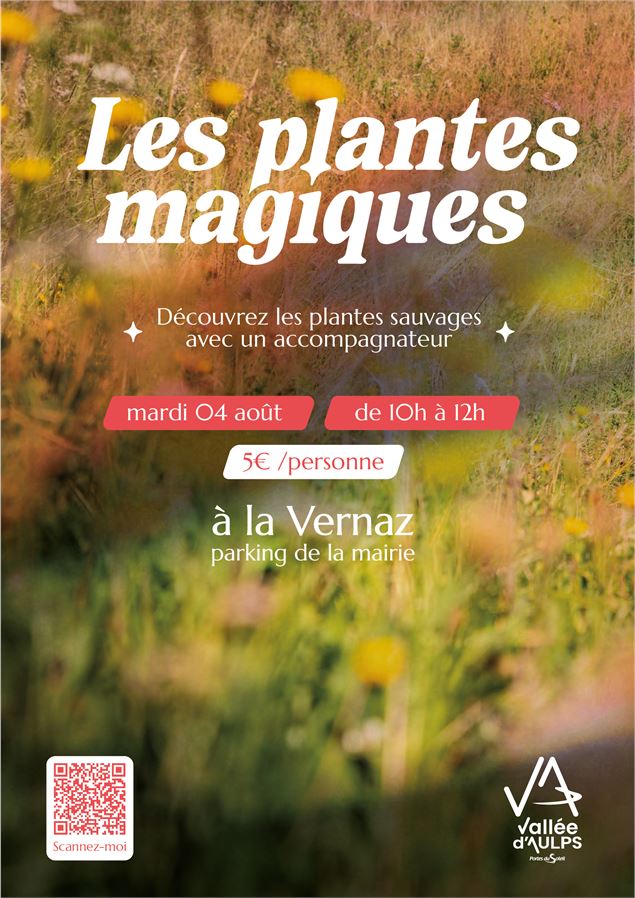 Plantes Magiques_La Vernaz - Tamara Berlioux / OT Vallée d'Aulps