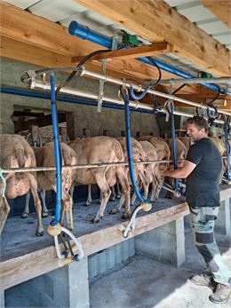 Visite Alpage des rouelles Montsapey - © EP - fondation Facim