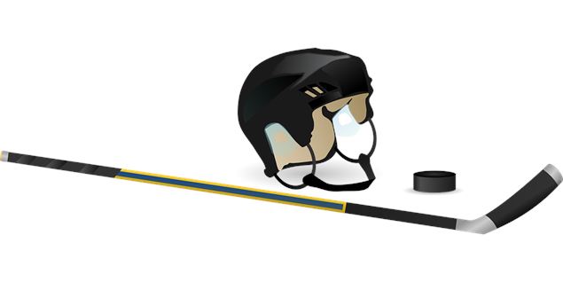 Hockey - OTI Val d'Arly