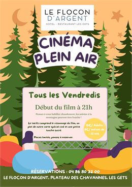 Soirée cinéma - Flocon d'argent