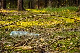 Collecte de déchets à la Faucille - Pixabay