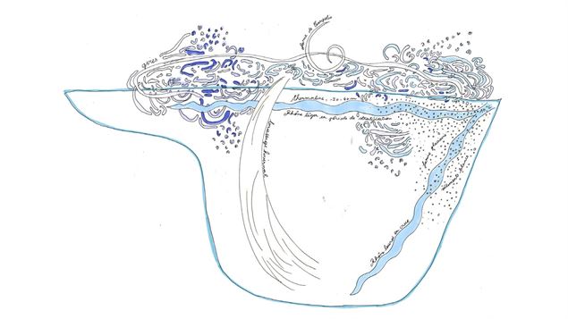 Les respirations du Léman en chansons - DR