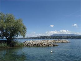 Lecture du paysage et histoire du Léman en balade au bord du lac - DR
