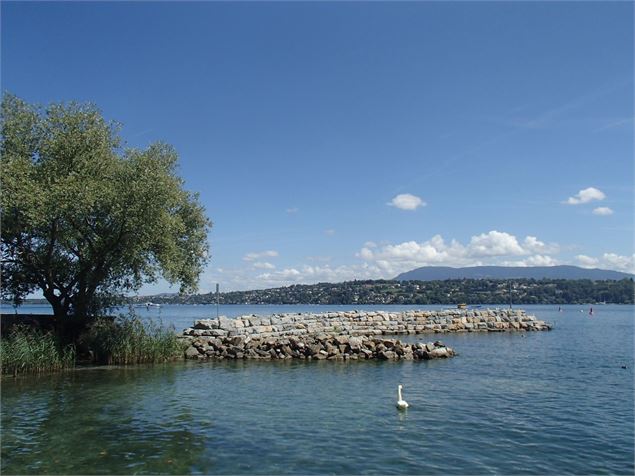 Lecture du paysage et histoire du Léman en balade au bord du lac - DR