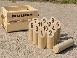 Image tournoi de mölkky - Freepik