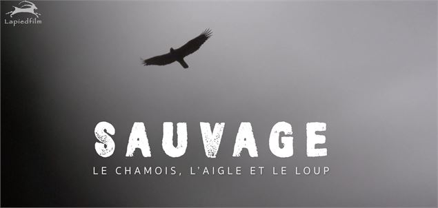 SAUVAGE - LAPIED