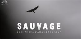 SAUVAGE - LAPIED