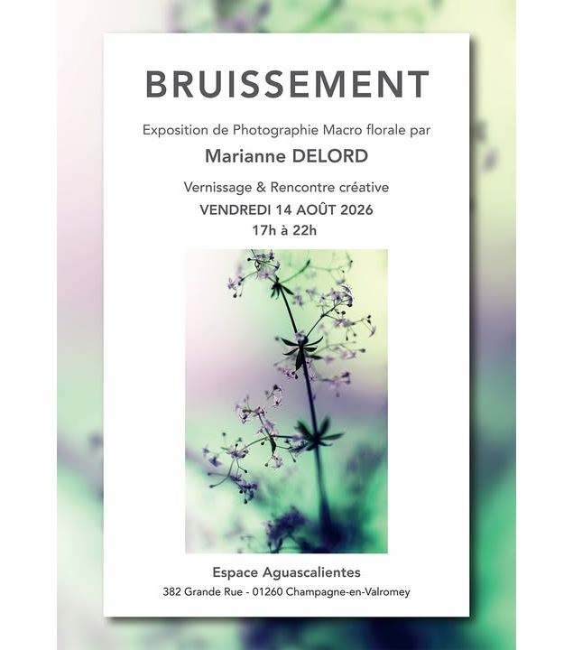 Exposition de photographies macro florale de Marianne Delord à l'Espace Aguascalientes_Champagne-en-