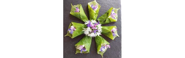Balade autour des plantes sauvages comestibles - Sevestre Carine