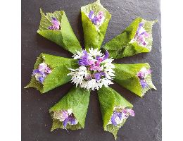 Balade autour des plantes sauvages comestibles - Sevestre Carine